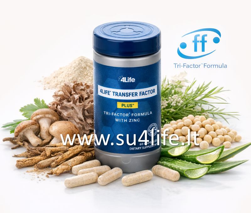 Papildoma iliustracija